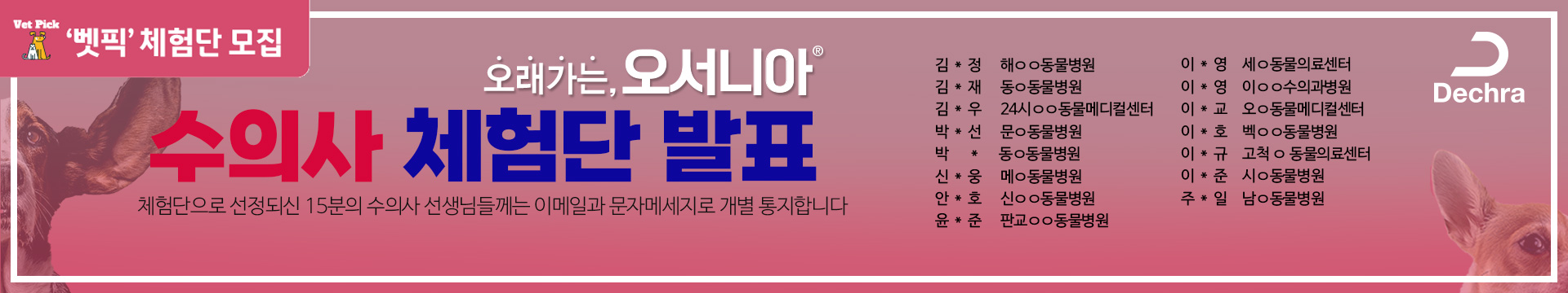 와이드배너
