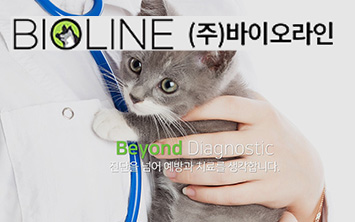 메인 작은 배너
