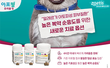 메인 작은 배너